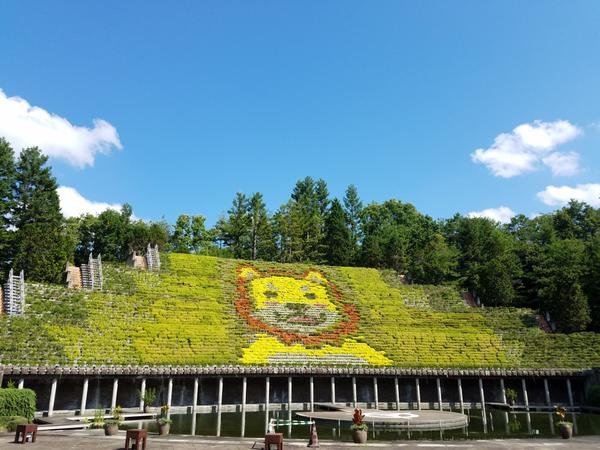 🌸 우지시 식물공원 (宇治市植物公園) 이미지 1